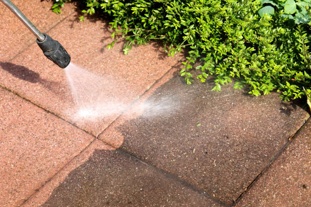 Best Pressure Washing Company Near Me  in Jefferson, TX